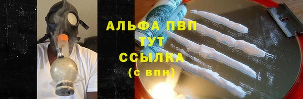 крисы Алексин