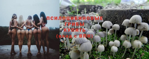 героин Алзамай