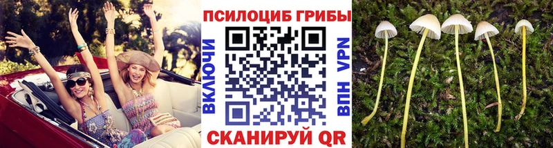 Псилоцибиновые грибы ЛСД  MEGA ССЫЛКА  Елабуга  где купить наркоту 