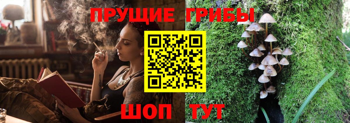 Елабуга  Псилоцибиновые грибы прущие грибы  Вход с VPN  Псилоцибиновые грибы прущие грибы 