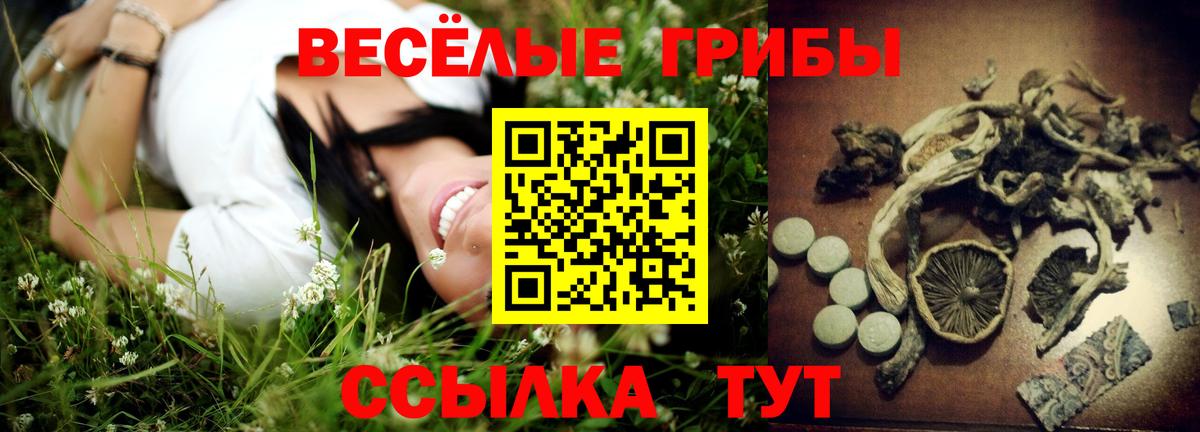 Галлюциногенные грибы мицелий Елабуга