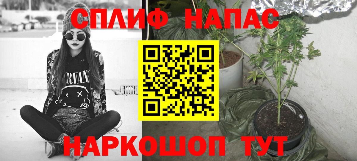МАРИХУАНА THC 21%  Вход с VPN  Елабуга  Каннабис план  Бошки Шишки гибрид 